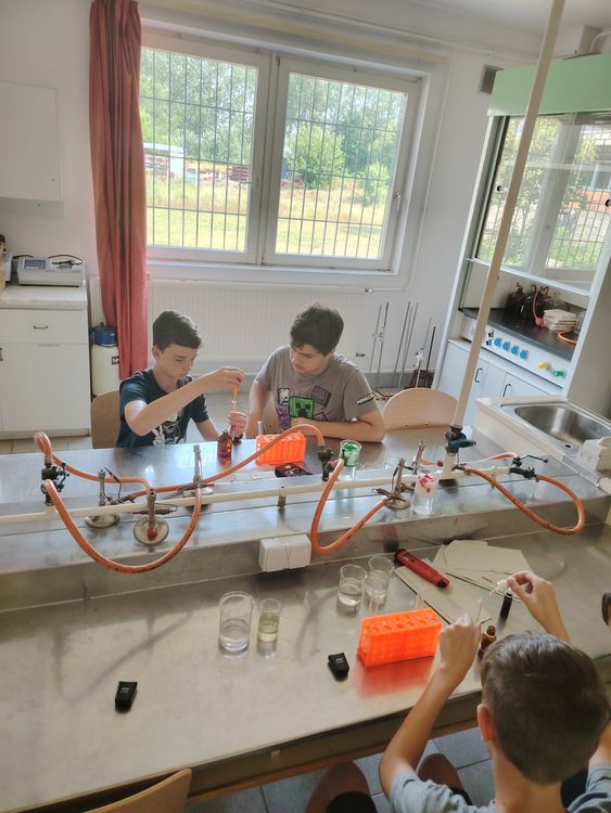 Nyári élménytábor